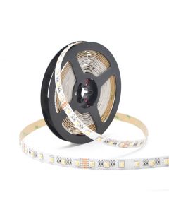 CLEANLIFE RGBW LED Tape Light (60LEDs/M. RGBW. 24V. 12MM width. IP20. 19.2W/M. 5M/PCS, 12in leads with 5pin)